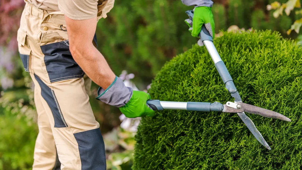 Entretien des espaces verts